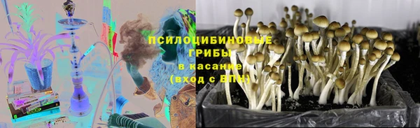apvp Пересвет