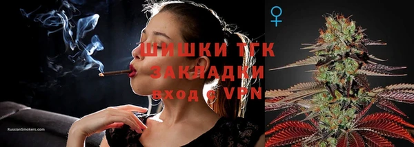 apvp Пересвет