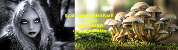мет Пестово