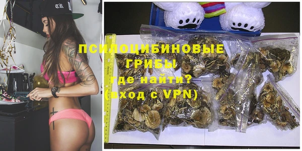 apvp Пересвет