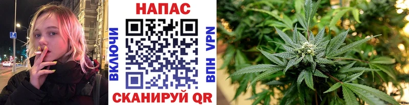 Шишки марихуана гибрид Уяр